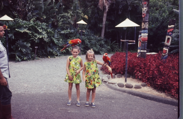 Growing up in Hawaii offered kids interesting opportunities like BIRDS on your head!